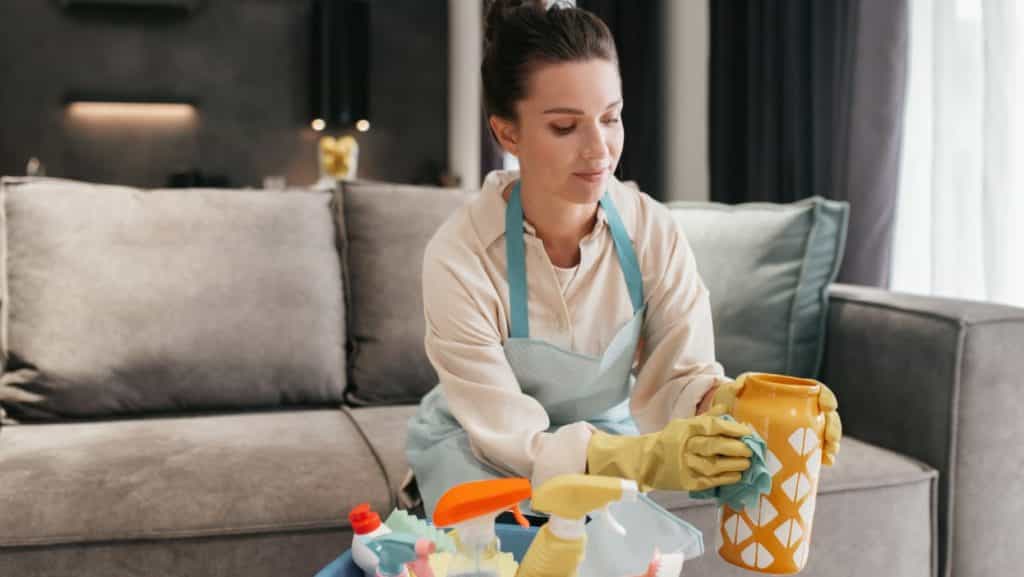 limpeza profunda de colchões sofás carpetes