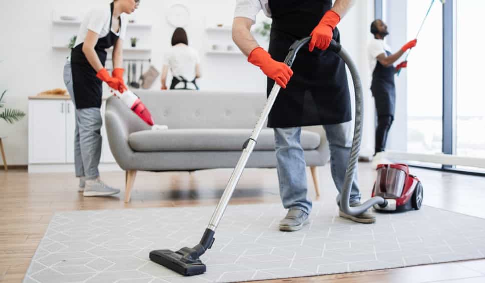 Sofás cadeiras estofadas carpetes 